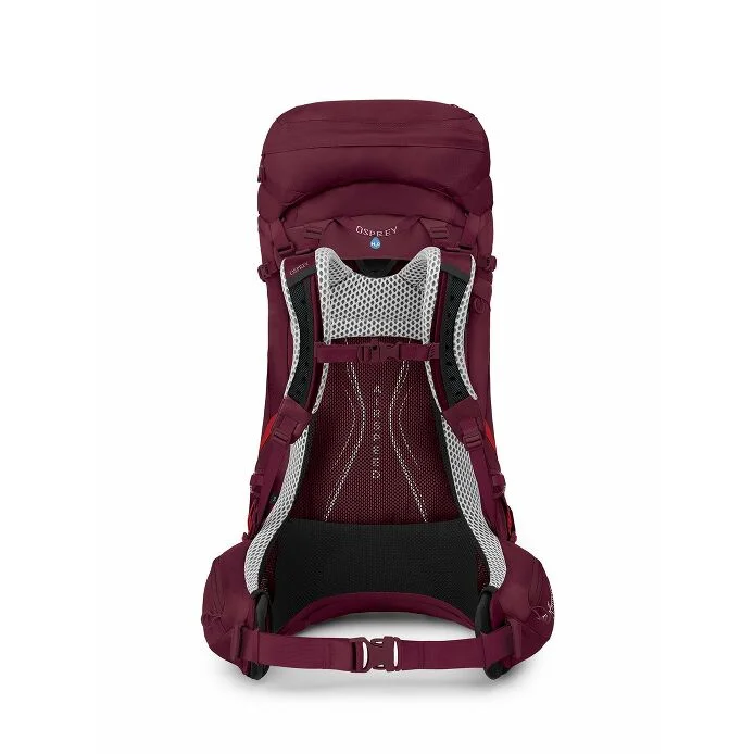 a back view of the AURA AG LT 50 in color antidotepurple - Bild 4 von 7